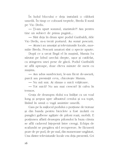 Crima de pe podul Garibaldi