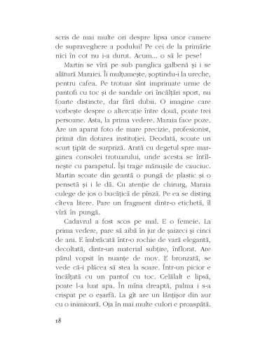 Crima de pe podul Garibaldi