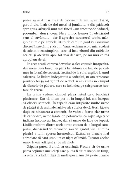 Pachet promoţional tetralogia Cimitirul Cărţilor Uitate Top 10+