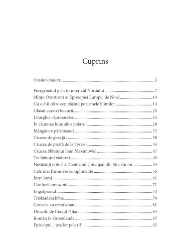 În misiune pe tărâmul vikingilor În misiune pe tărâmul vikingilor