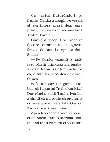 Năvala apelor Năvala apelor
