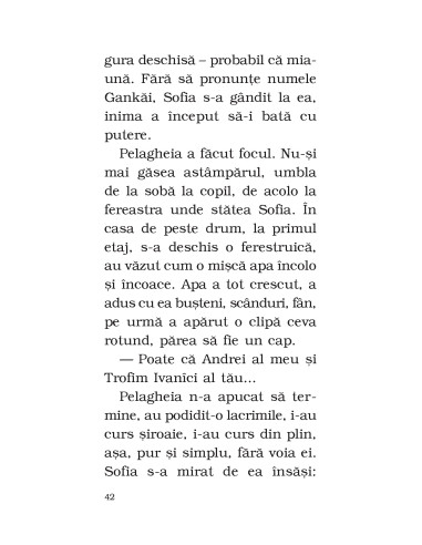 Năvala apelor Năvala apelor