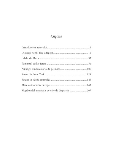 Călătorul singuratic