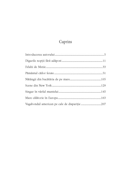 Călătorul singuratic