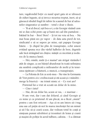 Călătorul singuratic