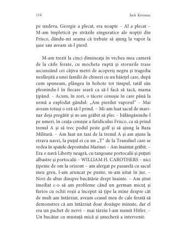 Călătorul singuratic