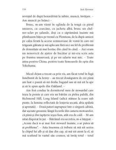 Călătorul singuratic