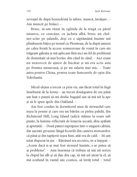 Călătorul singuratic