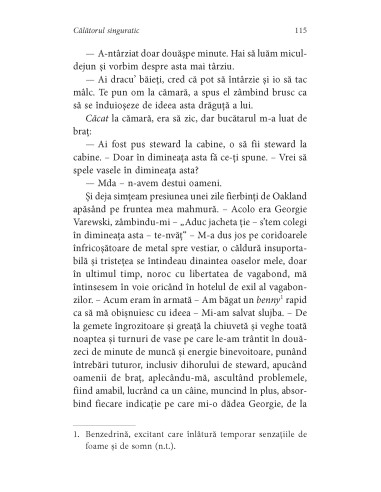 Călătorul singuratic