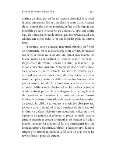 Rechini în vremea salvatorilor