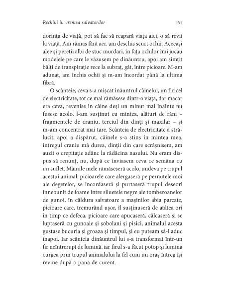 Rechini în vremea salvatorilor