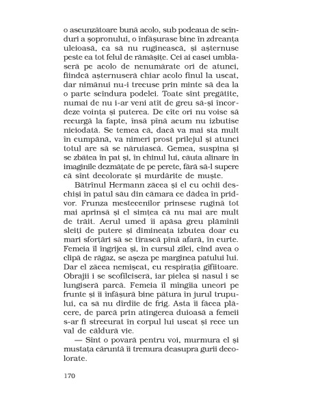 Femeia şi străinul