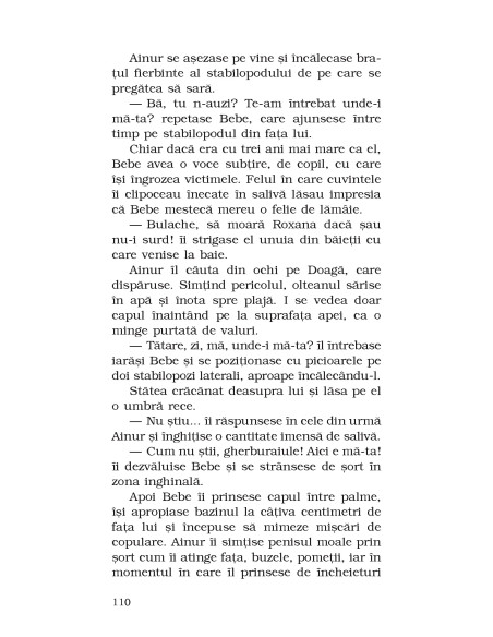 Cântecul păsării de plajă