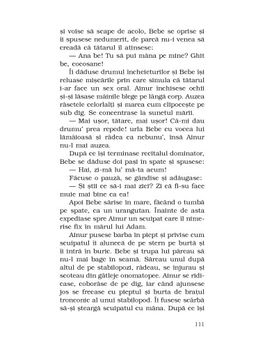 Cântecul păsării de plajă