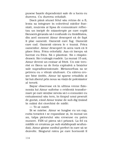 Cântecul păsării de plajă