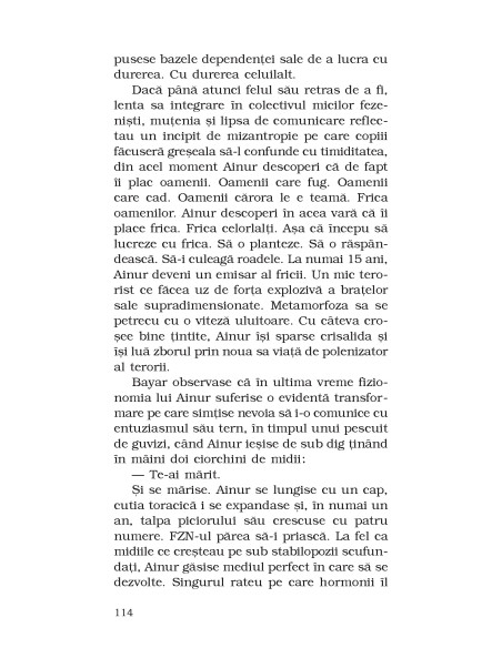 Cântecul păsării de plajă