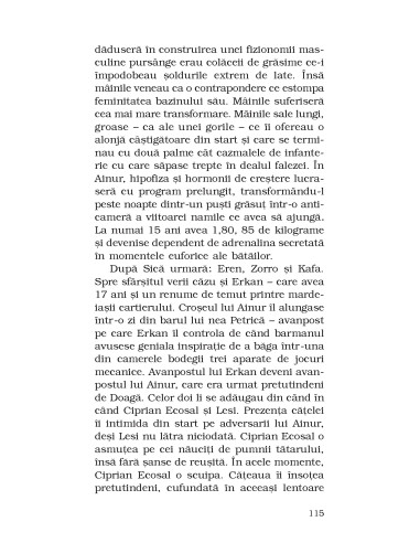 Cântecul păsării de plajă