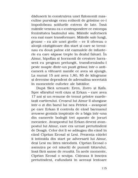 Cântecul păsării de plajă