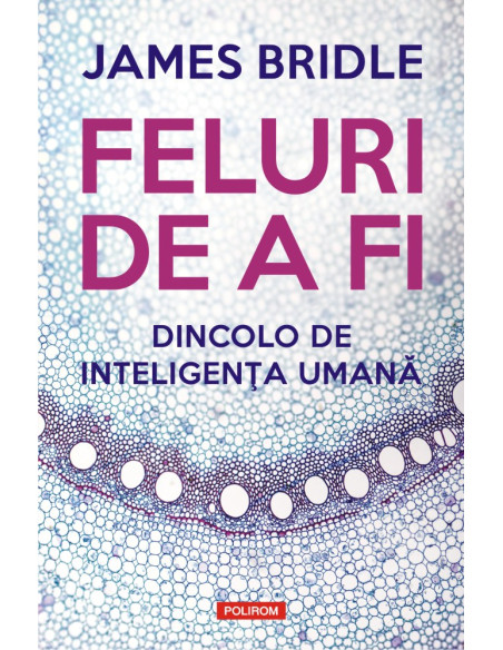 Feluri de a fi