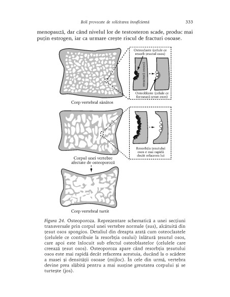 Istoria corpului uman