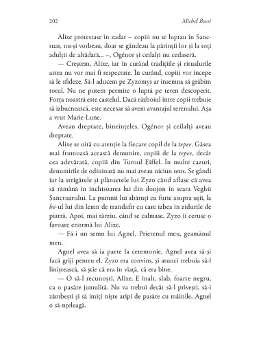 N.E.O. 1. Căderea soarelui de fier