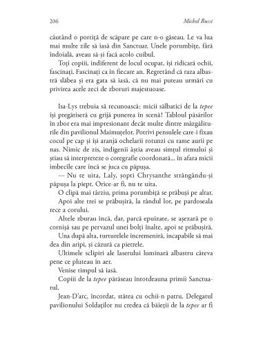 N.E.O. 1. Căderea soarelui de fier