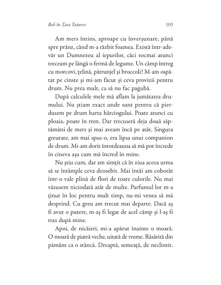 Bob în Țara Tuturor