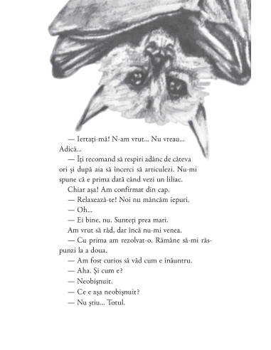 Bob în Țara Tuturor