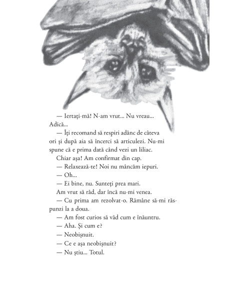 Bob în Țara Tuturor