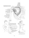 Anatomie pentru mişcare