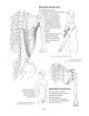Anatomie pentru mişcare