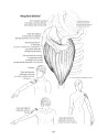 Anatomie pentru mişcare