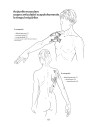Anatomie pentru mişcare