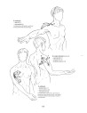 Anatomie pentru mişcare