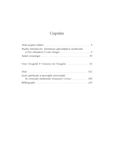 Viziunea lui Tnugdal