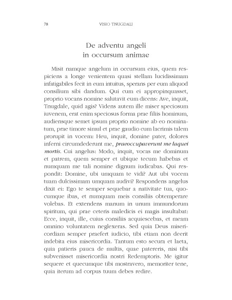 Viziunea lui Tnugdal