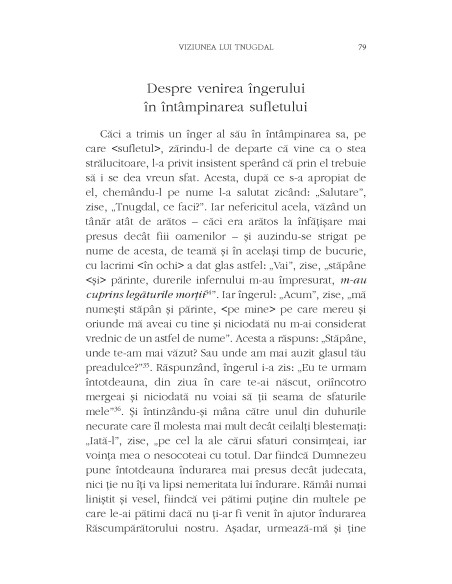 Viziunea lui Tnugdal