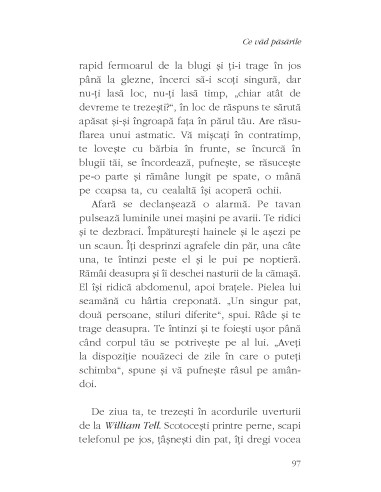 Ce văd păsările Ce văd păsările