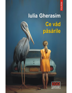 Ce văd păsările