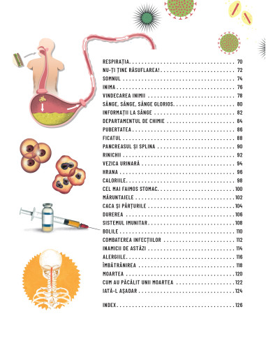 Scurtă călătorie prin corpul uman