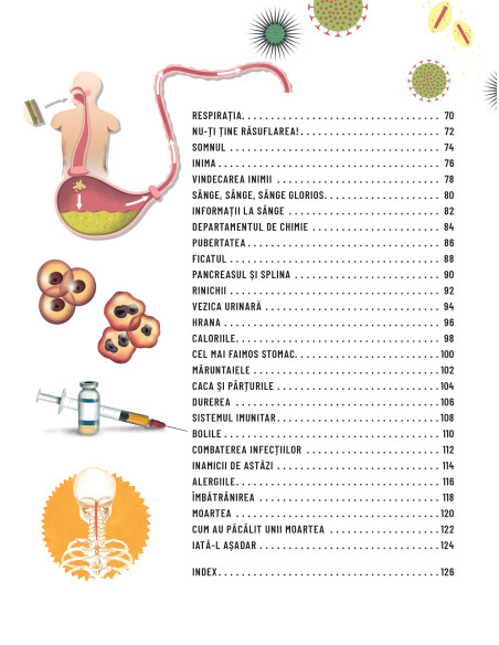 Scurtă călătorie prin corpul uman
