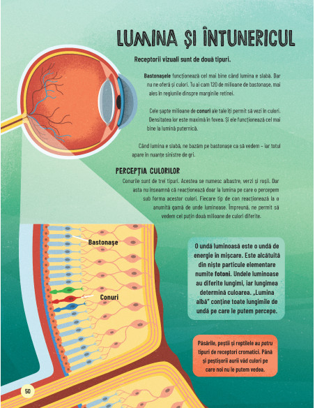 Scurtă călătorie prin corpul uman