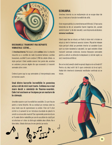 Scurtă călătorie prin corpul uman