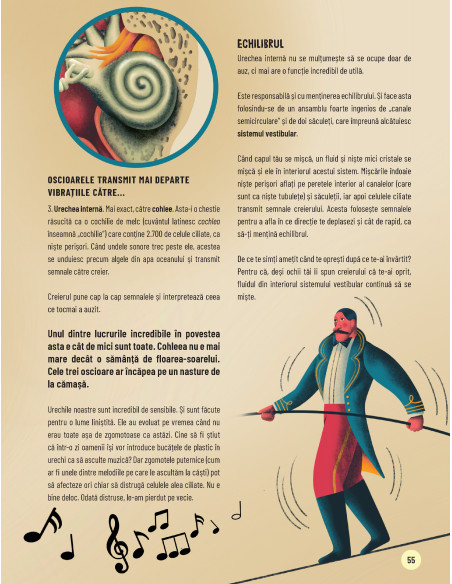 Scurtă călătorie prin corpul uman