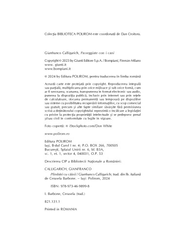 Plimbări cu câinii Plimbări cu câinii