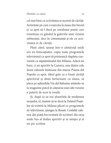 Plimbări cu câinii Plimbări cu câinii