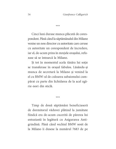 Plimbări cu câinii Plimbări cu câinii