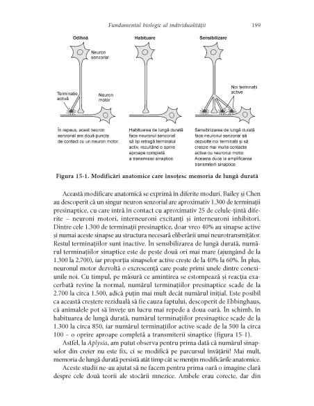 În căutarea memoriei