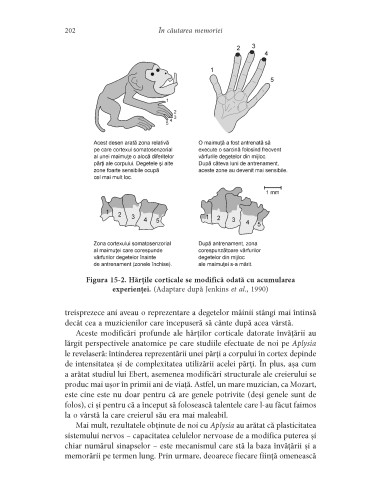 În căutarea memoriei