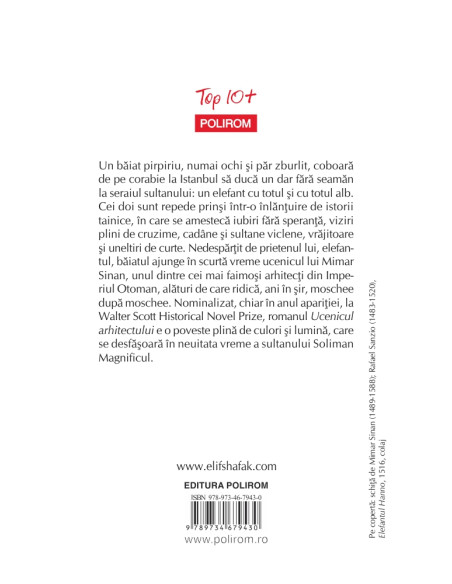 Ucenicul arhitectului